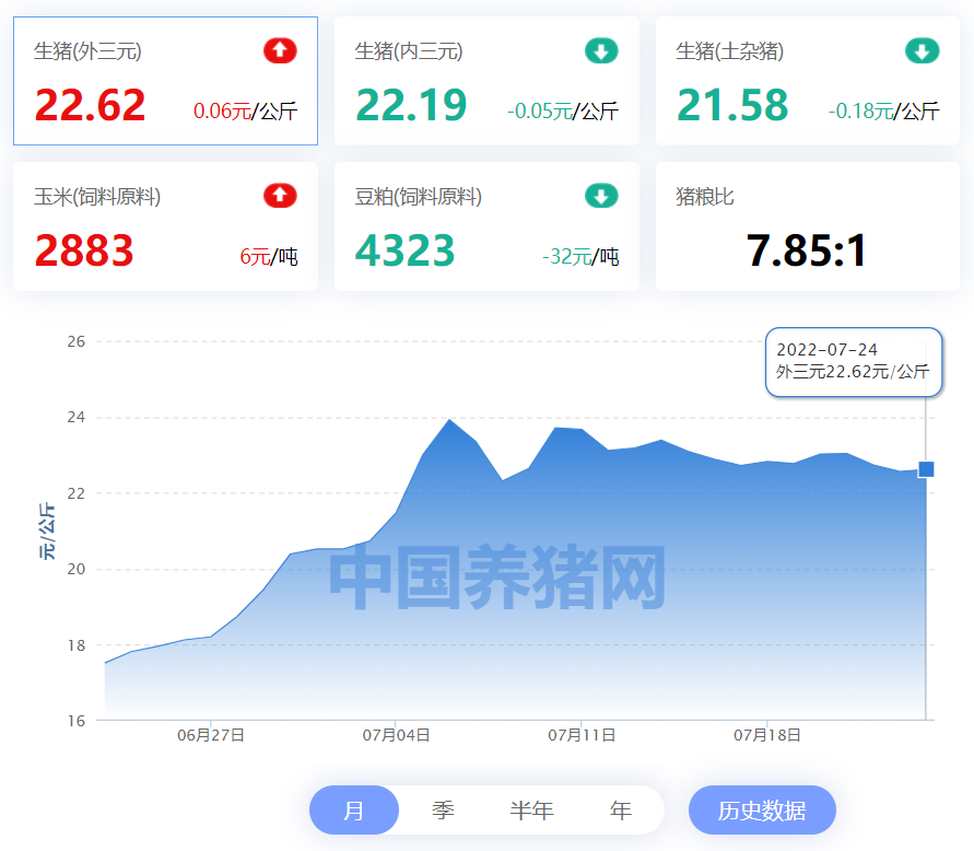 中国养猪网