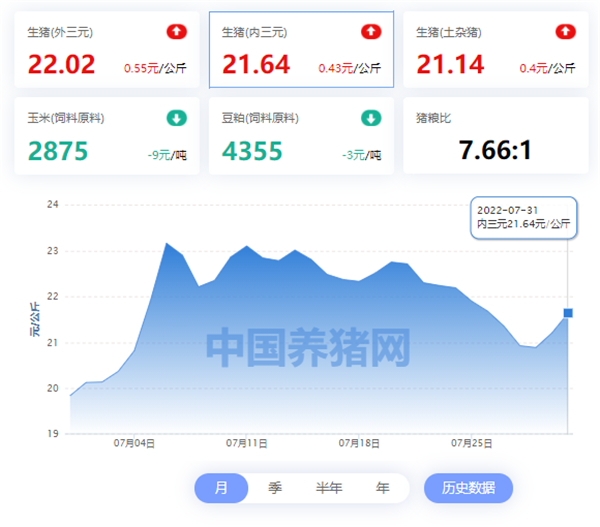 中国养猪网