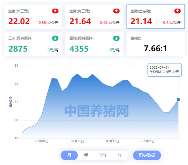 中国养猪网