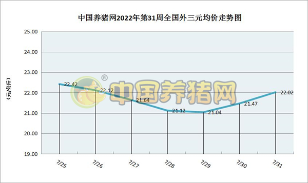 中国养猪网