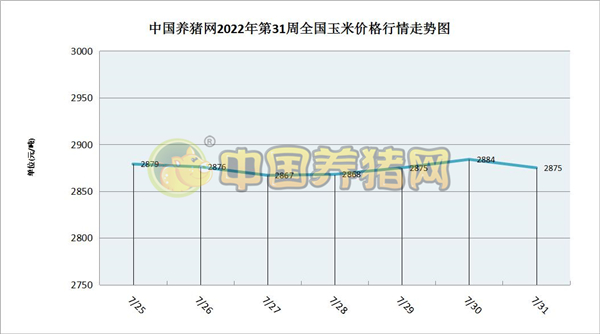 中国养猪网