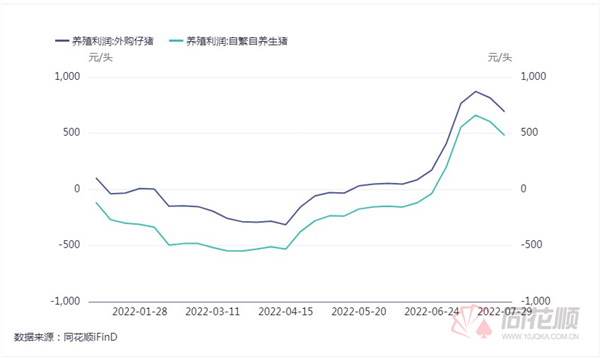 中国养猪网