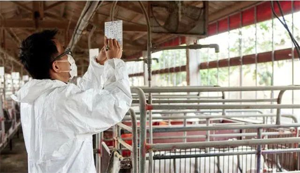 什么样的驱虫方法才对?驱虫药使用疗程和剂量如何确定?
