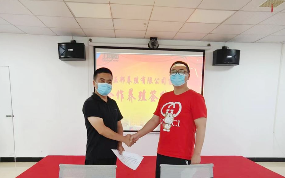 优势互补，强强联合：江西正邦养殖公司开创合作养猪新模式