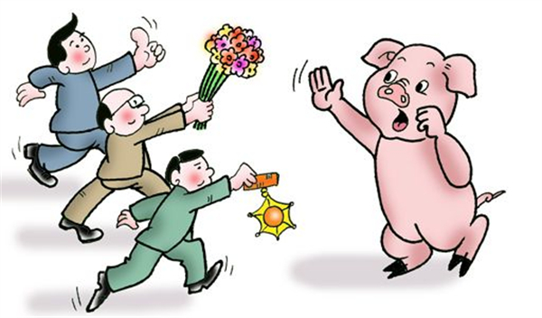 中国养猪网