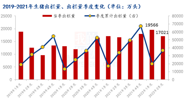 中国养猪网