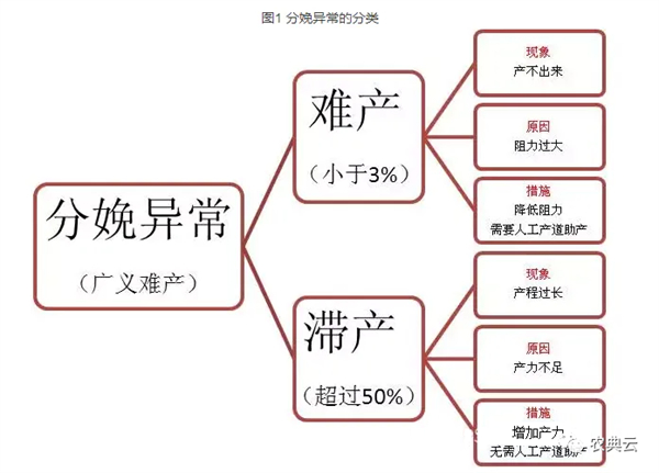 中国养猪网