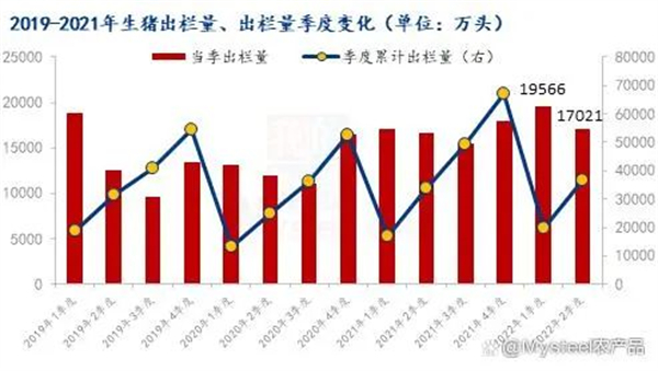 中国养猪网