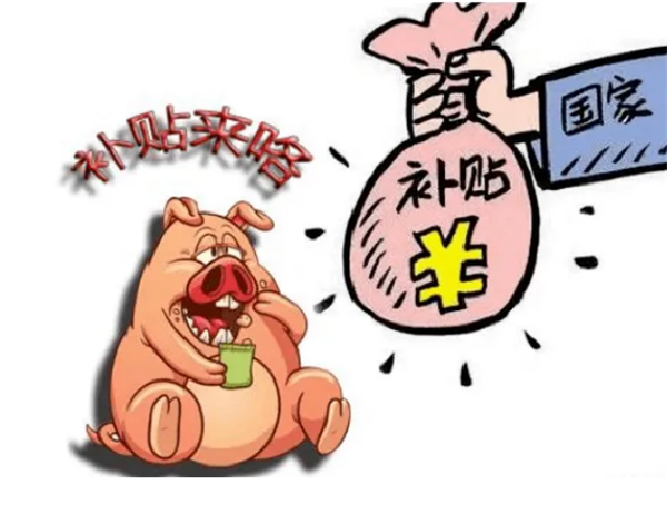 中国养猪网