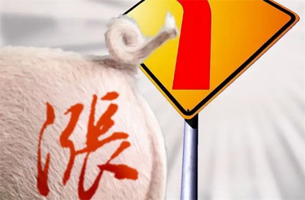 中国养猪网