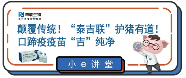 【e防疫】颠覆传统！“泰吉联”护猪有道！口蹄疫疫苗“吉”纯净