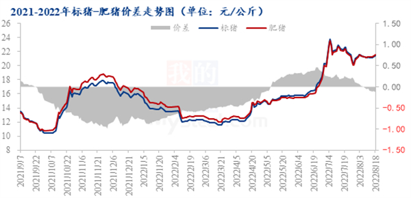 中国养猪网
