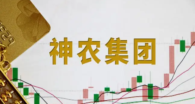加速扩张，冲刺1000万出栏量！神农集团董事长：不赌行情，把养猪作为事业