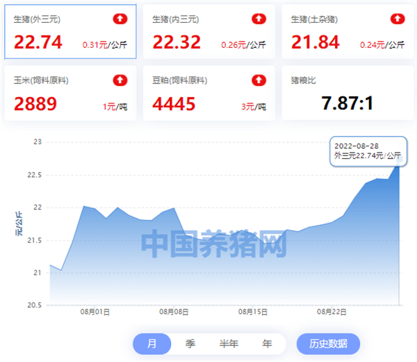 中国养猪网