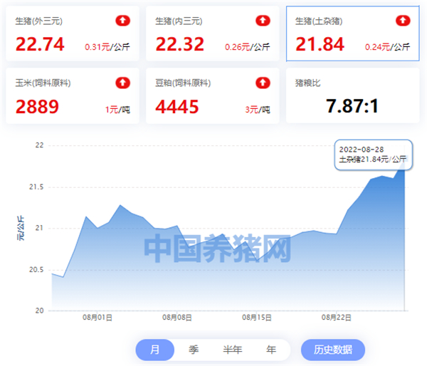 中国养猪网