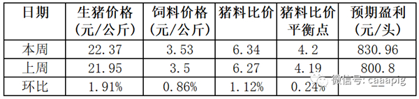 中国养猪网