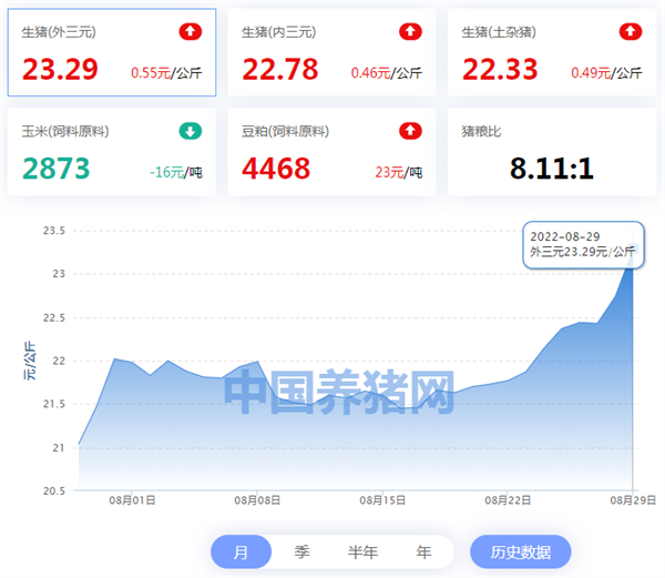 中国养猪网