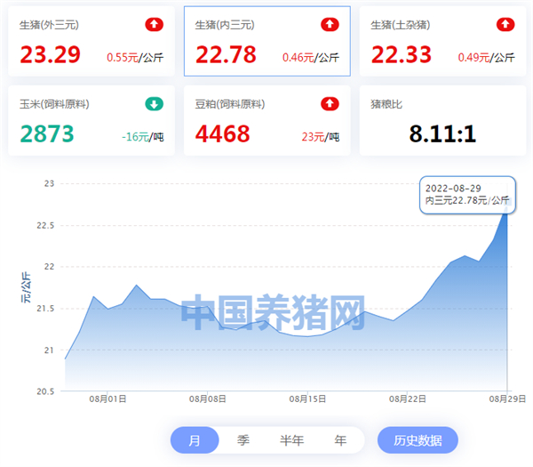 中国养猪网