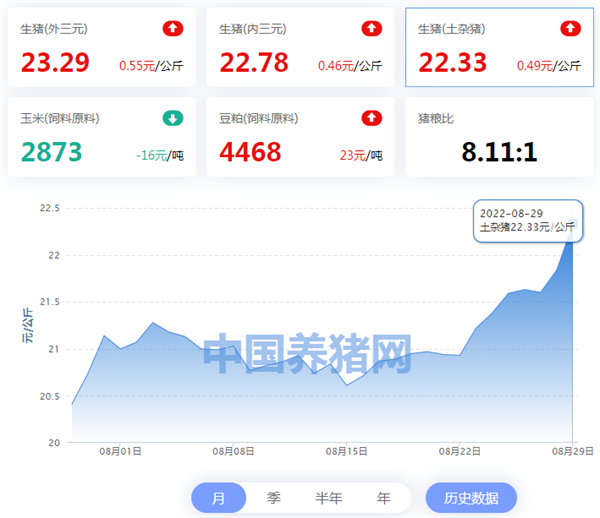 中国养猪网