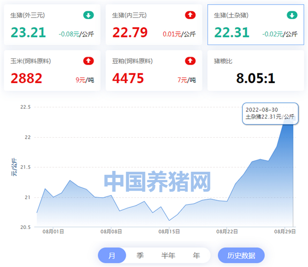中国养猪网