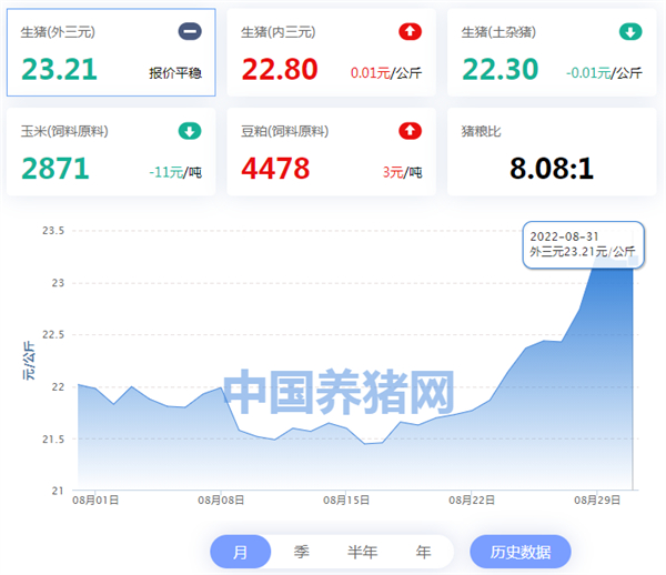 中国养猪网