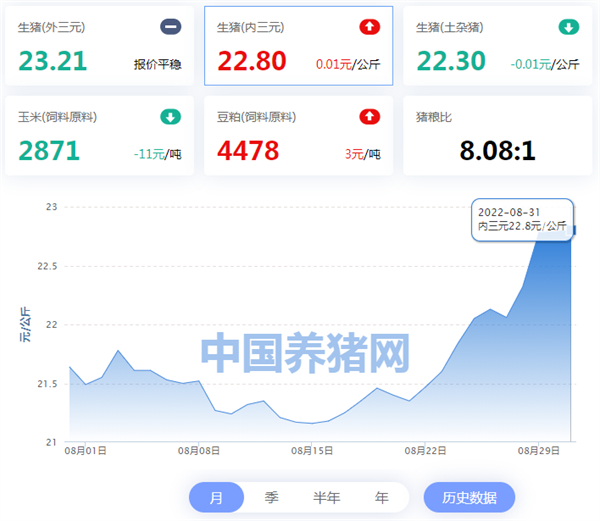 中国养猪网