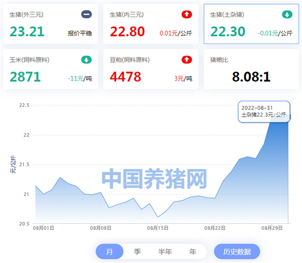 中国养猪网