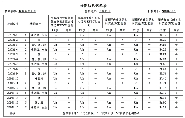 中国养猪网