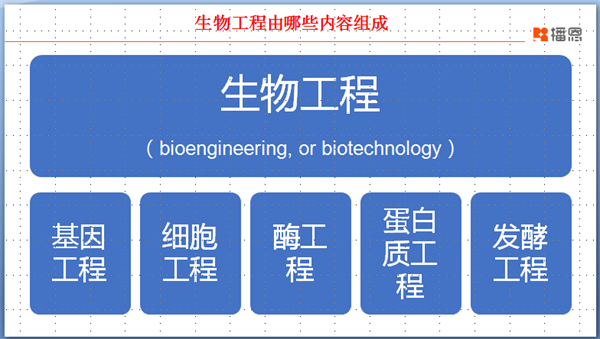 中国养猪网