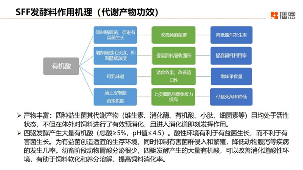 中国养猪网