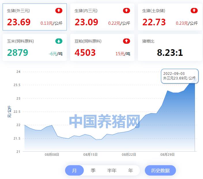 中国养猪网