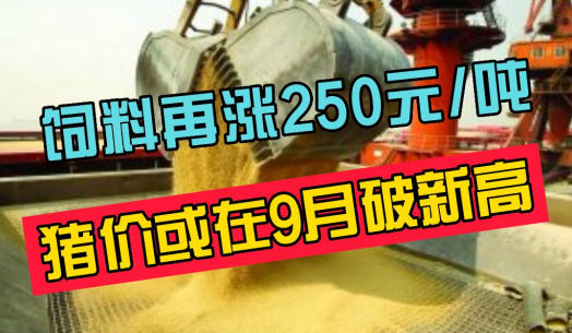 饲料再涨250元/吨，涨价潮蔓延全国！