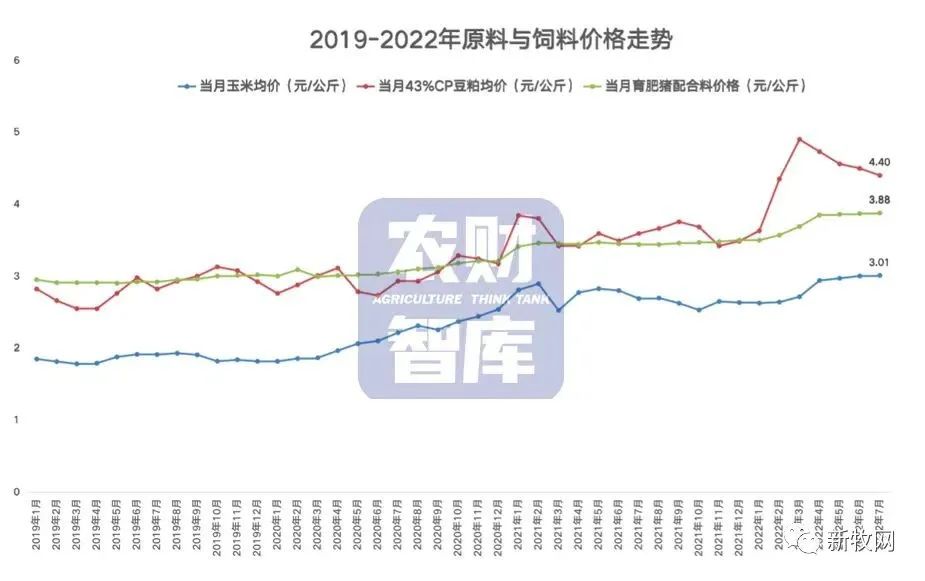 中国养猪网
