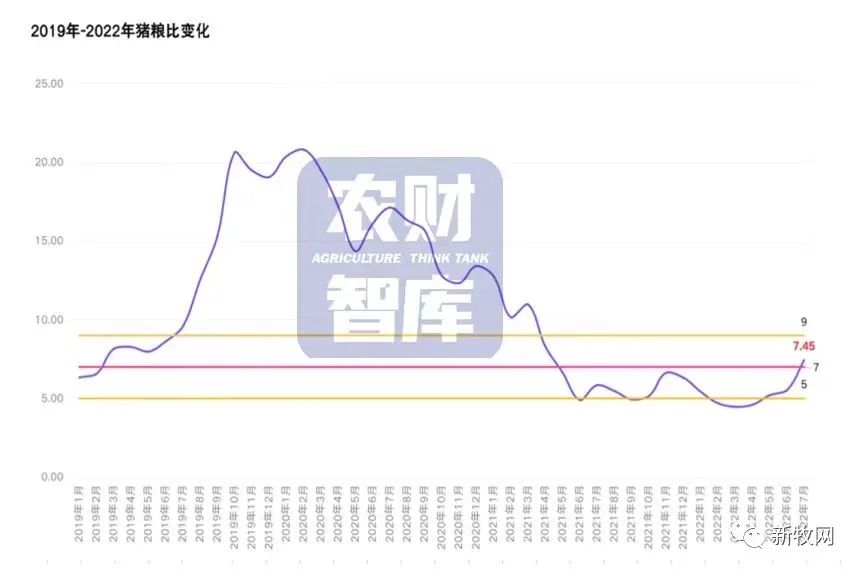 中国养猪网