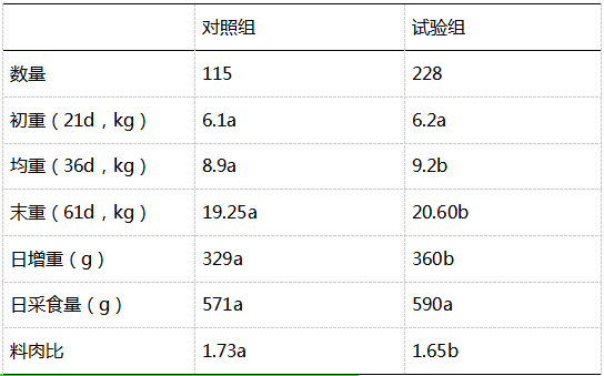 中国养猪网