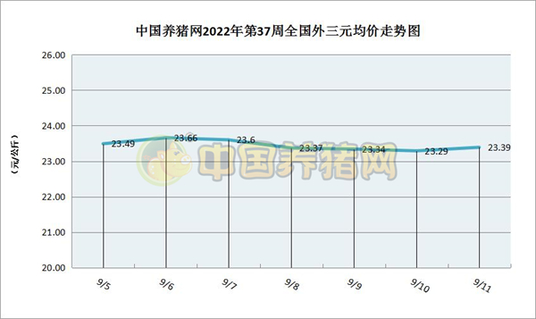 中国养猪网