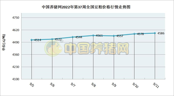 中国养猪网