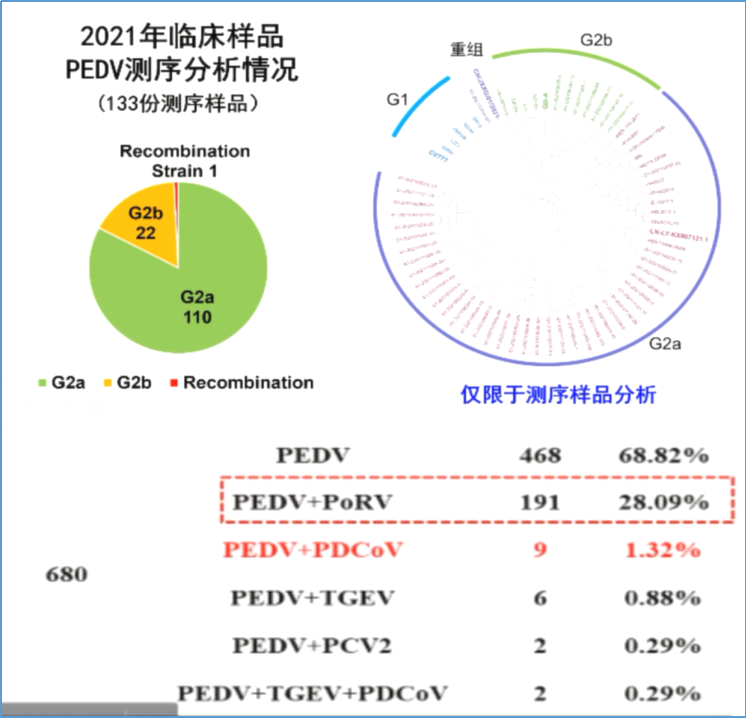 中国养猪网