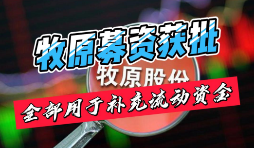 牧原募资50-60亿获批，全部用于补充流动资金！