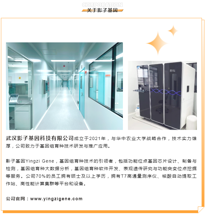 中国养猪网