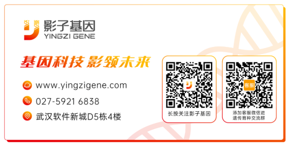 中国养猪网