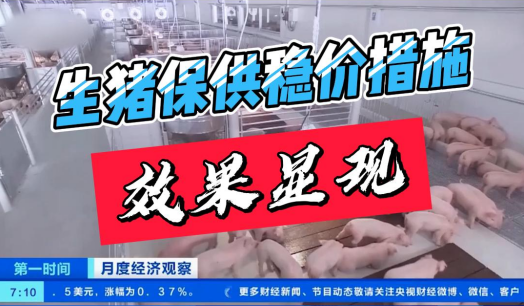 国家统计局：保供稳价措施效应持续显现 猪肉价格不具备大幅上涨条件！