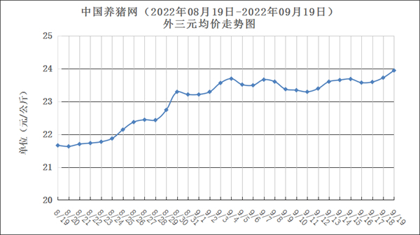 中国养猪网