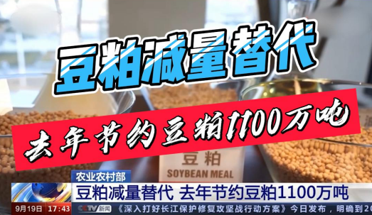 农业农村部：豆粕减量替代 去年节约豆粕1100万吨！