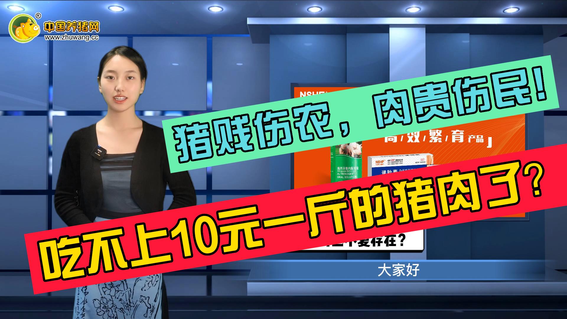 猪贱伤农，肉贵伤民！10元猪肉已不复存在？
