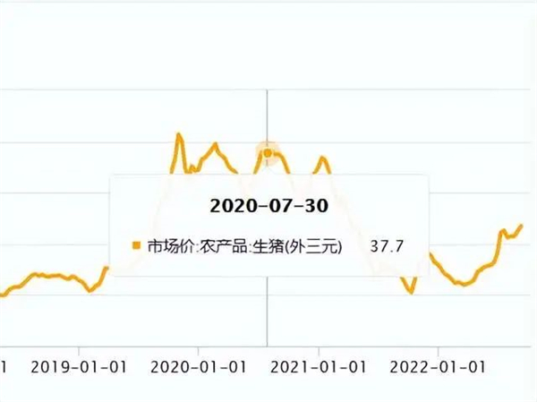 中国养猪网