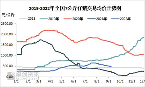 中国养猪网