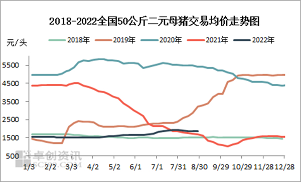 中国养猪网