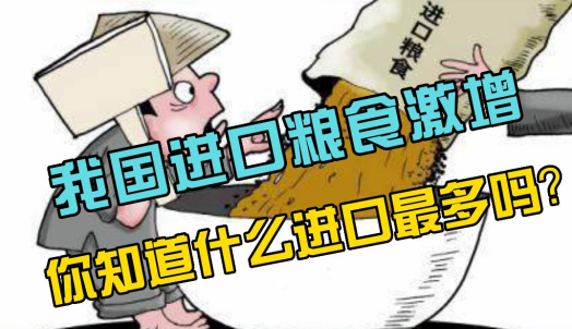半年进口粮食超2700亿！打响粮食安全保卫战！