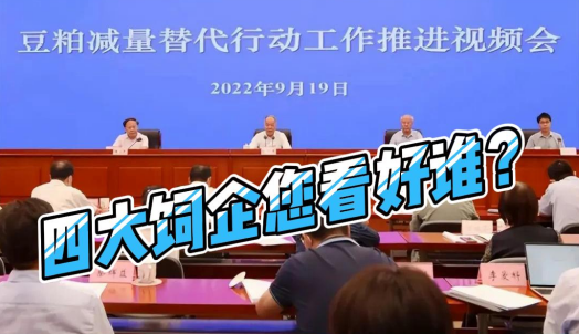 豆粕减量哪家强？四大饲企您看好谁？